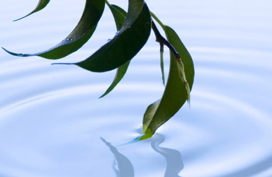 Copyright Cagkan Sayin | Dreamstime.com